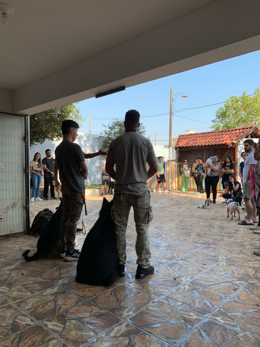 Adestrador trabalhando com cães e tutores