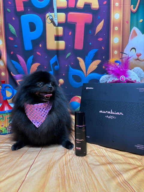 Cão penteado e enfeitado depois da tosa