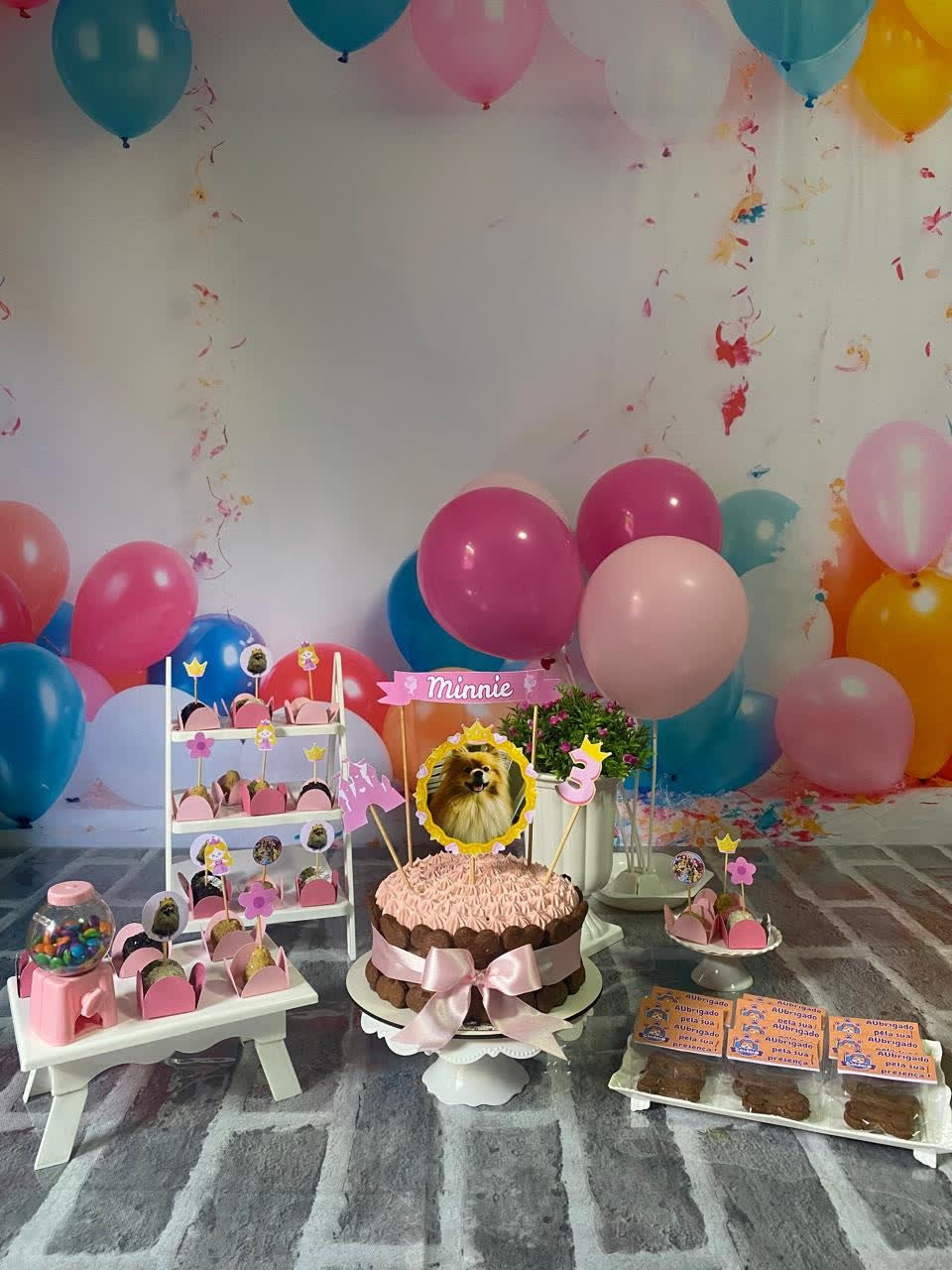 Mesa de festa de aniversário para cães